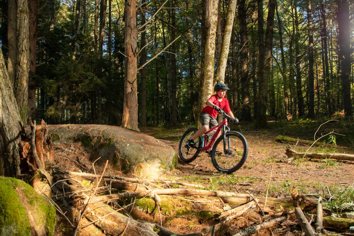 Mountain biking in the woods.