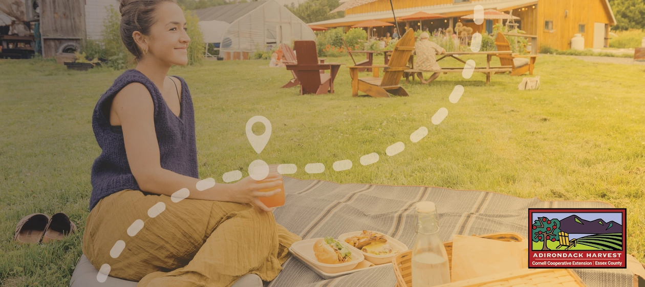 A woman enjoys a picnic on the grounds of a vineyard.
