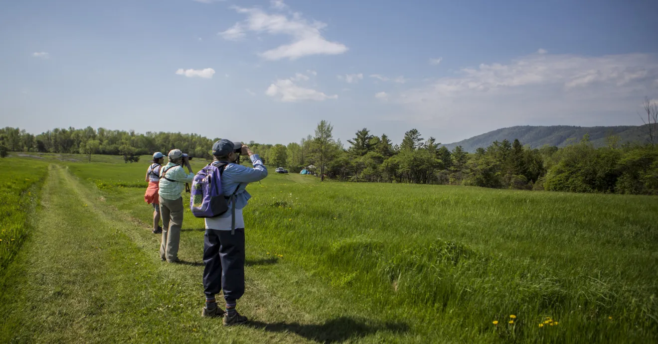 people looking at birds