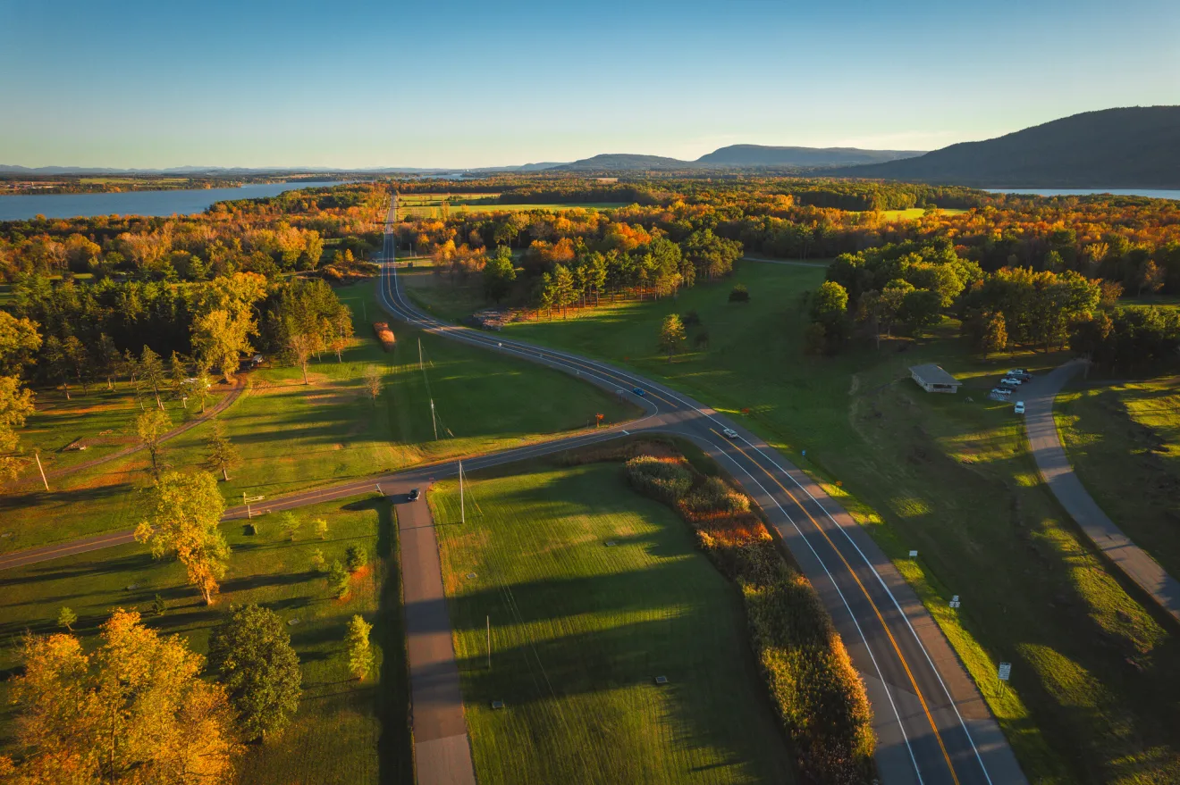 fall scenic for birds
