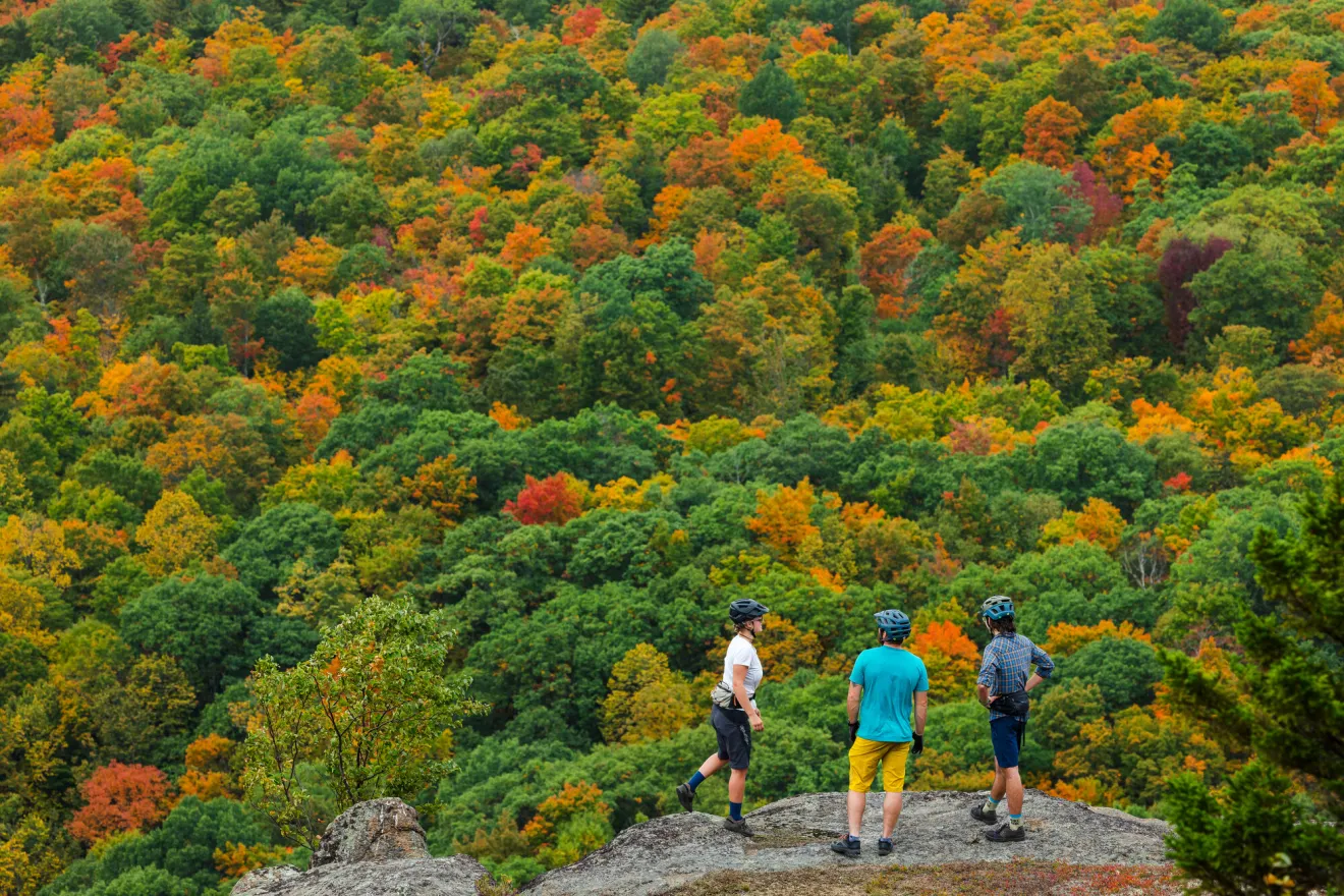 Mountain bikers looking out over a fall summit.