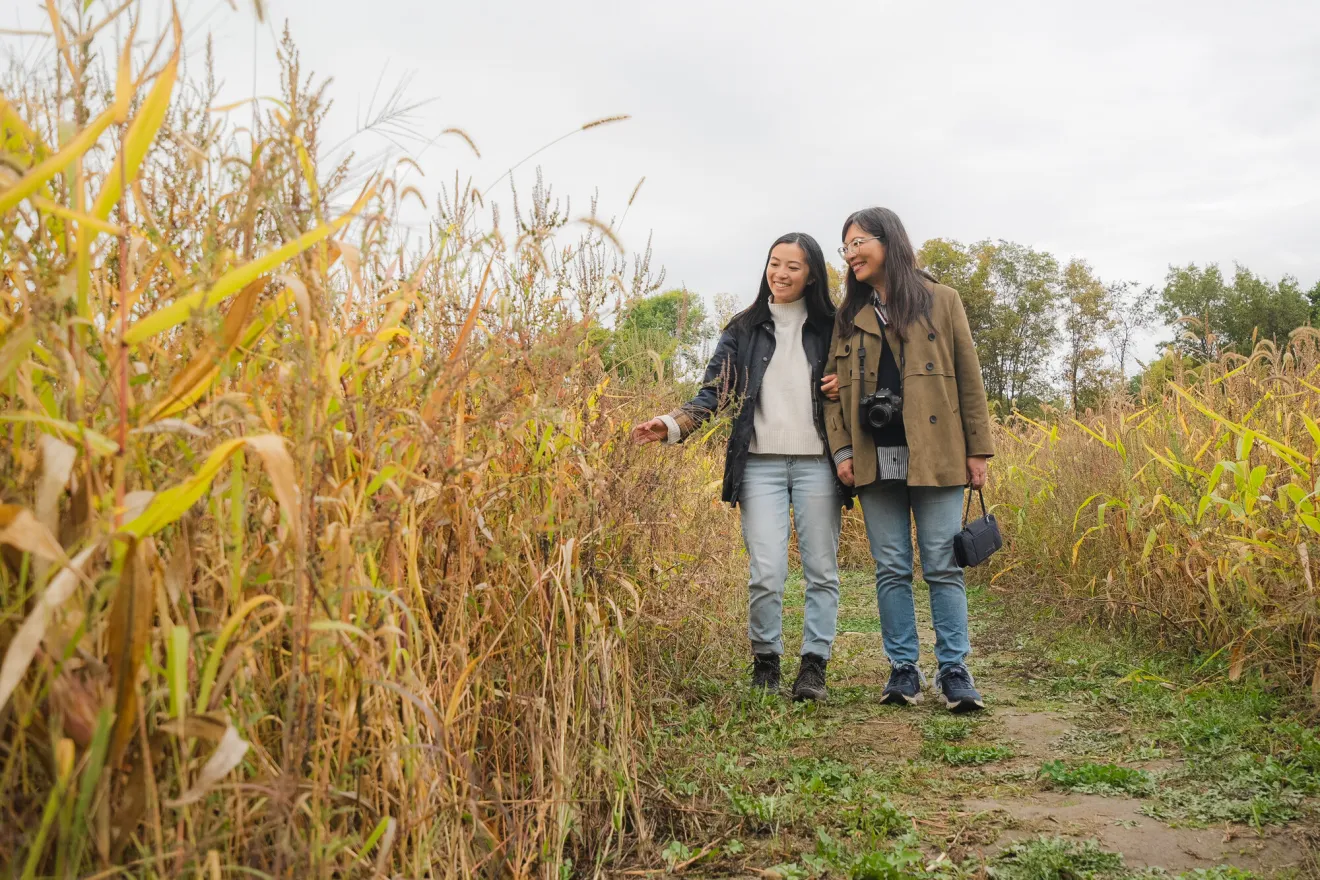 A family at a corn maze.