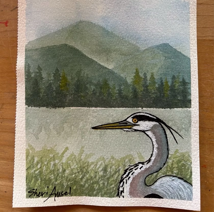watercolor painting by Sherri Amsel
