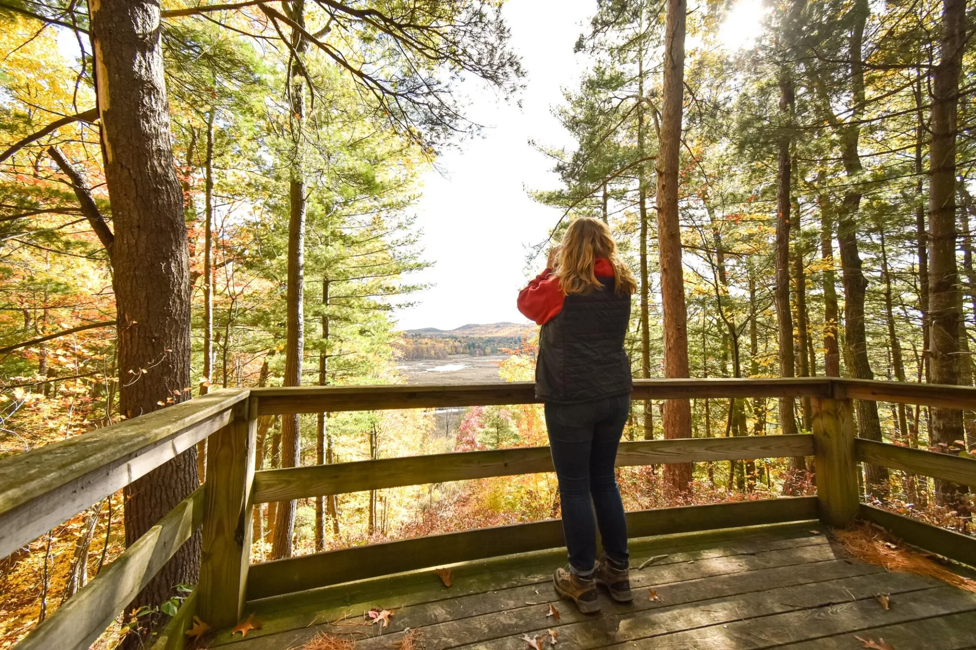 fall birding lookout