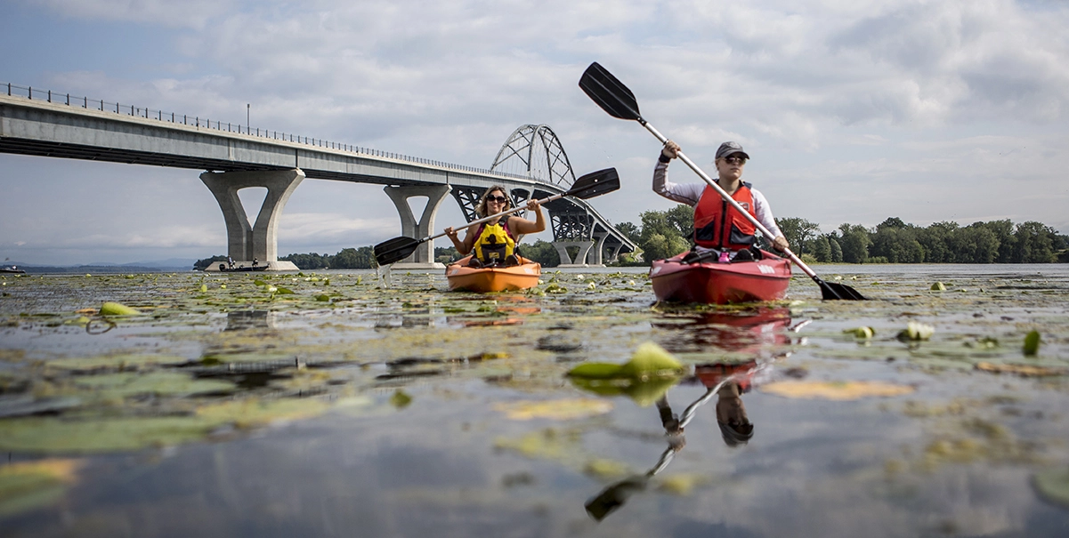 Two kayakers paddle through the reeds near the bridge that crosses Lake Champlain to VT from NY.