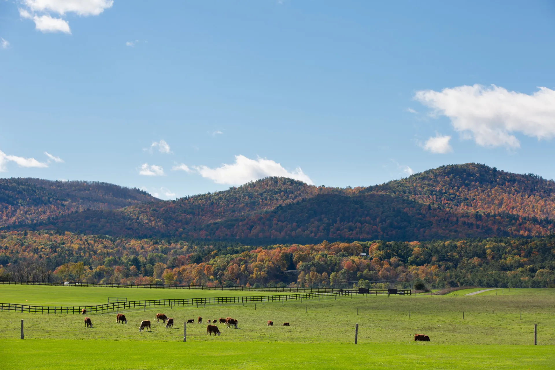 A fall farm.