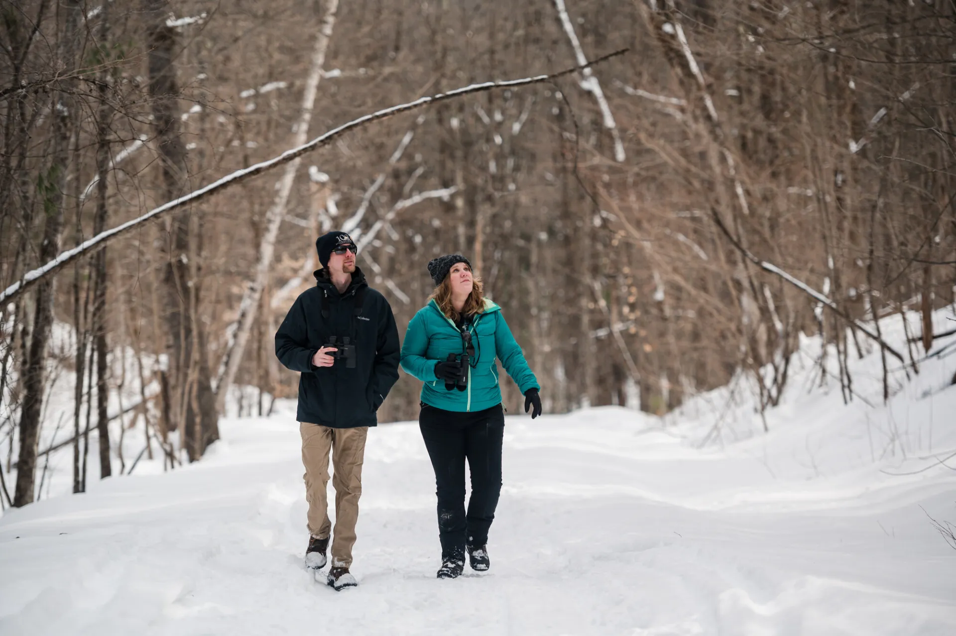 Winter in the Adirondacks.