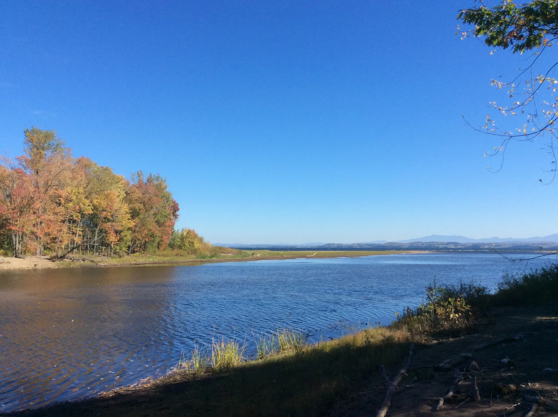 The fall colors in the bay are spectacular.