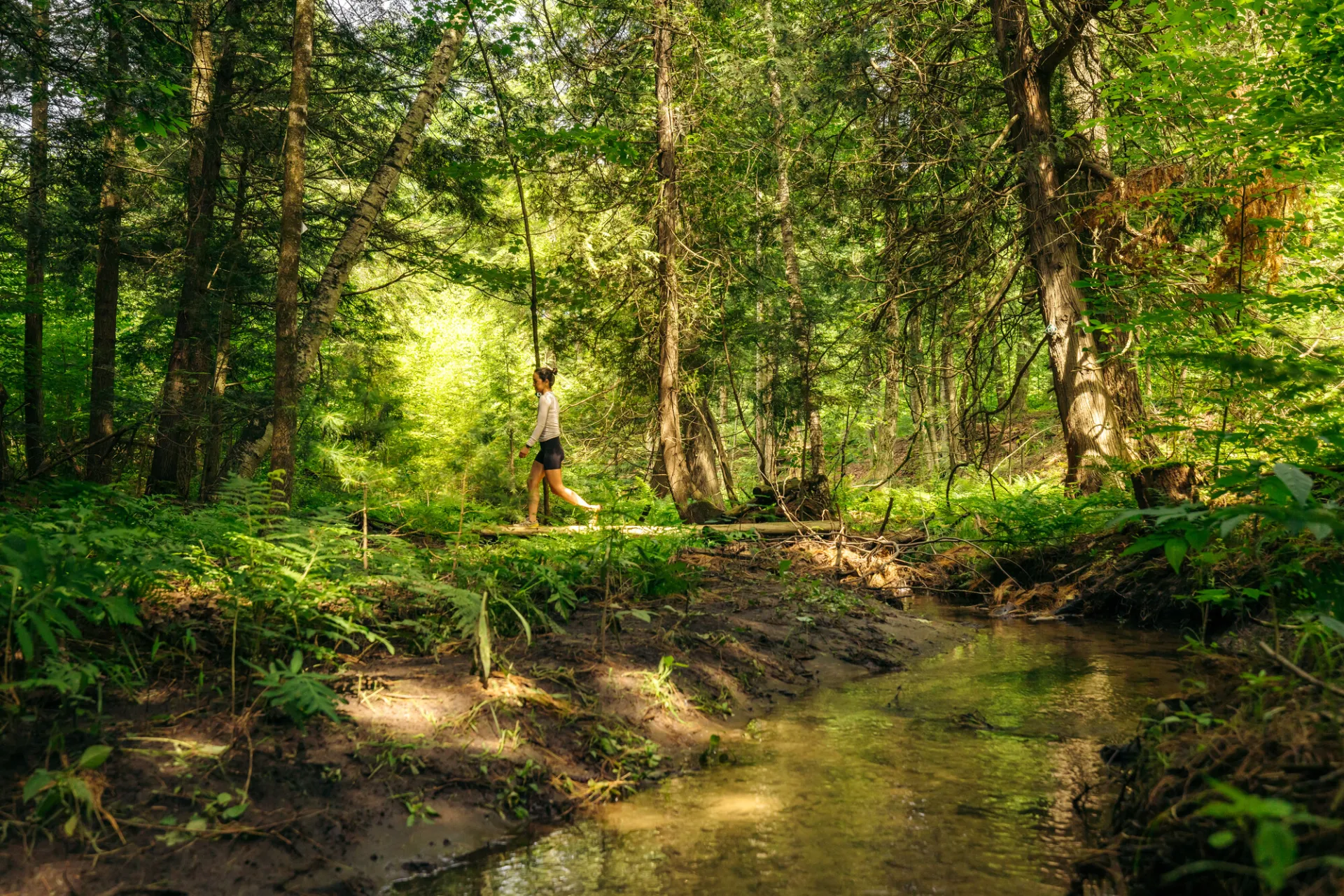 Hiking in the Adirondacks in the summer.