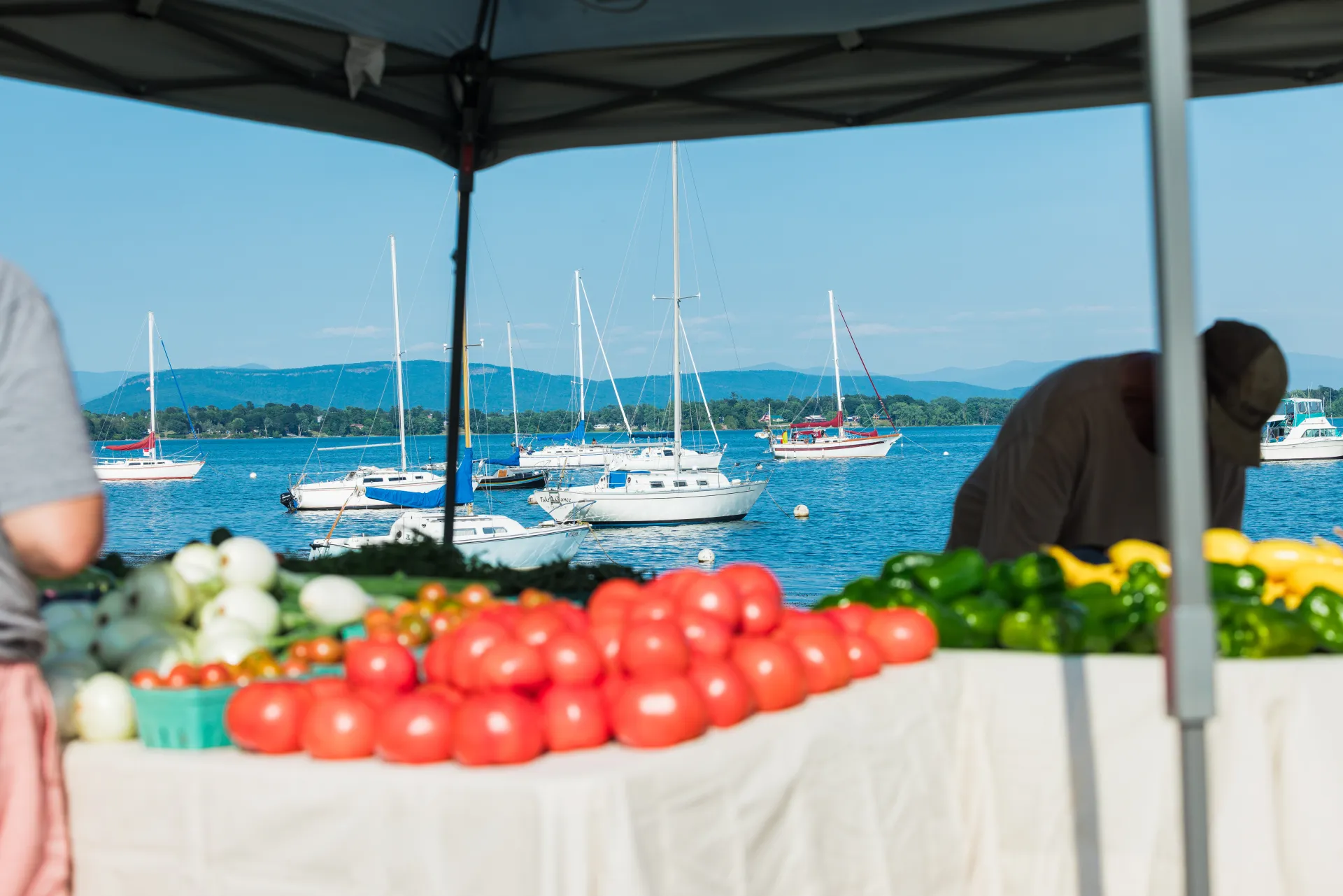 fresh veggies at the PHWFM