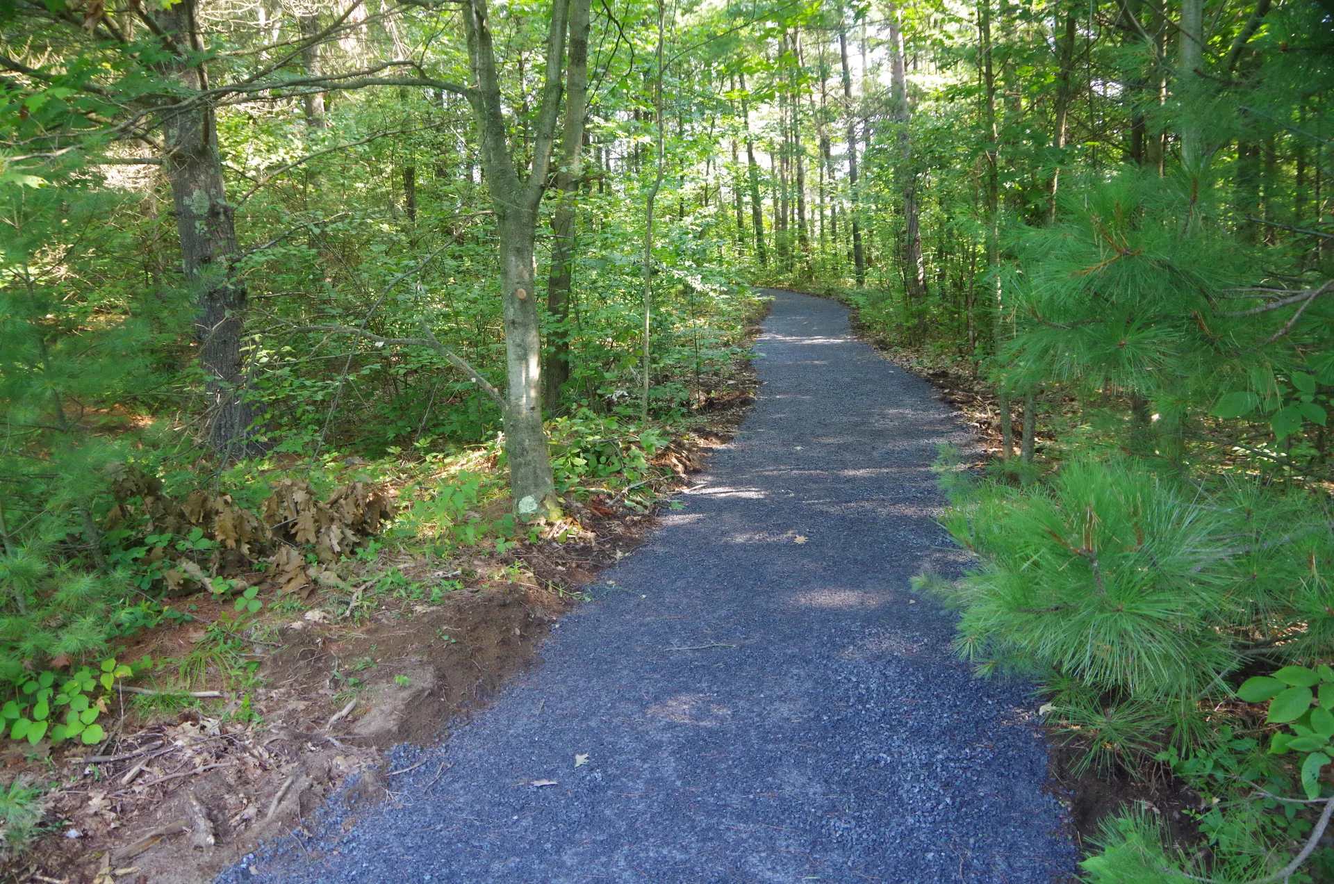 A new trail made of gravel