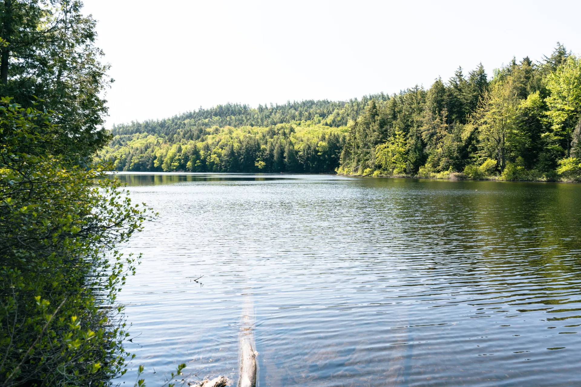 A view over a small pond