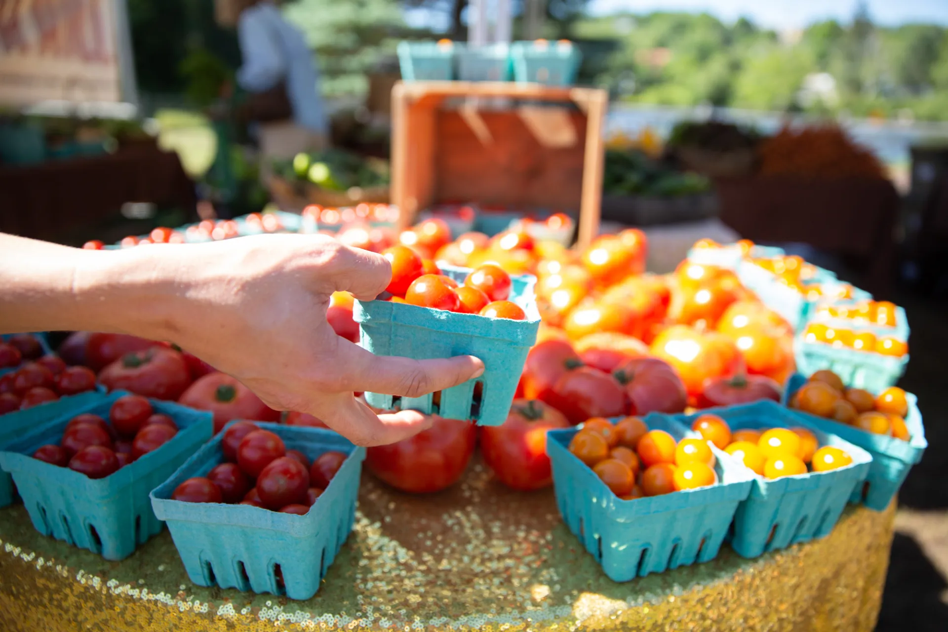 A Farmers Market in the Lake Champlain Region.