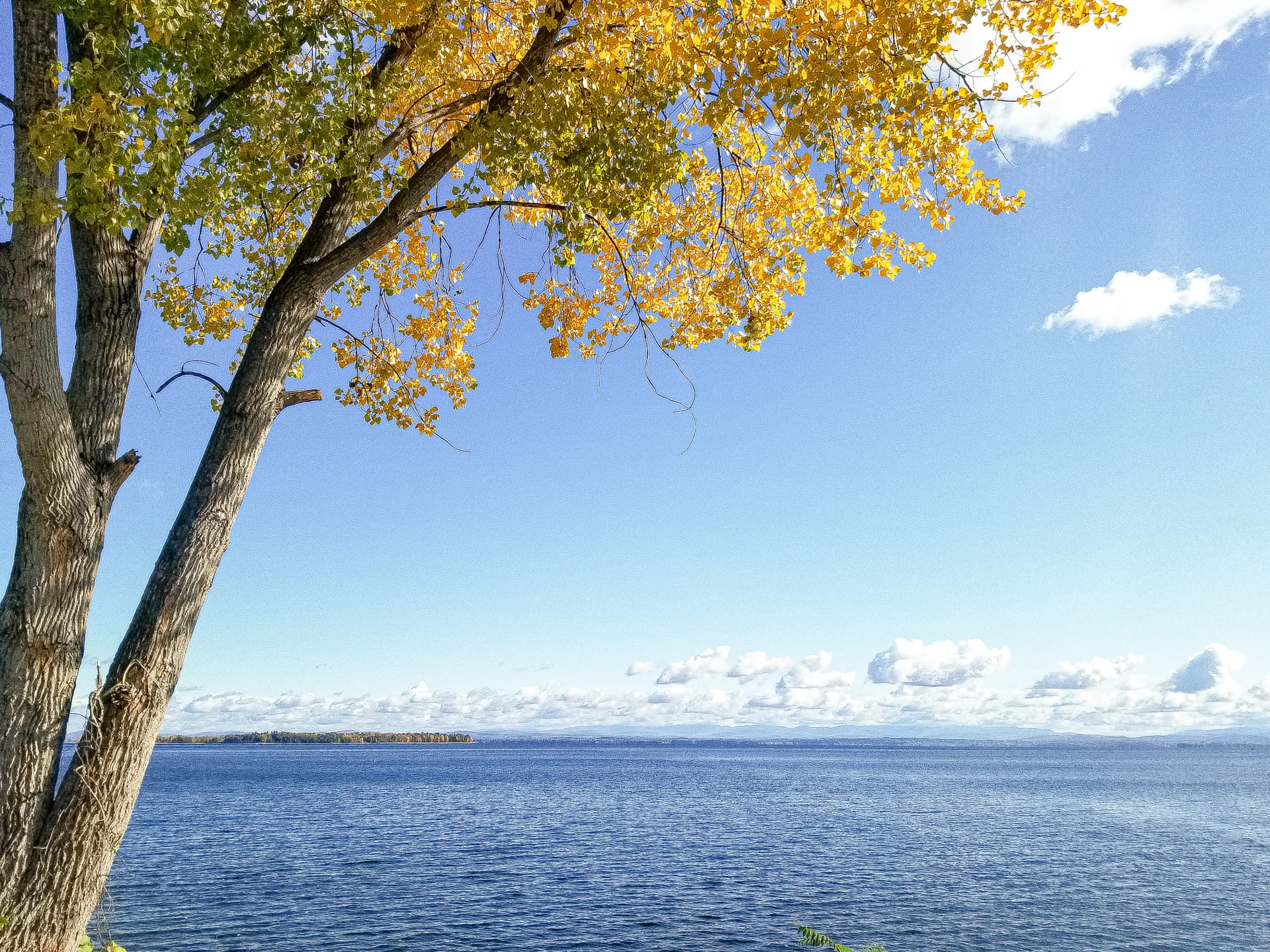 View of Lake Champlain from Port Douglas.