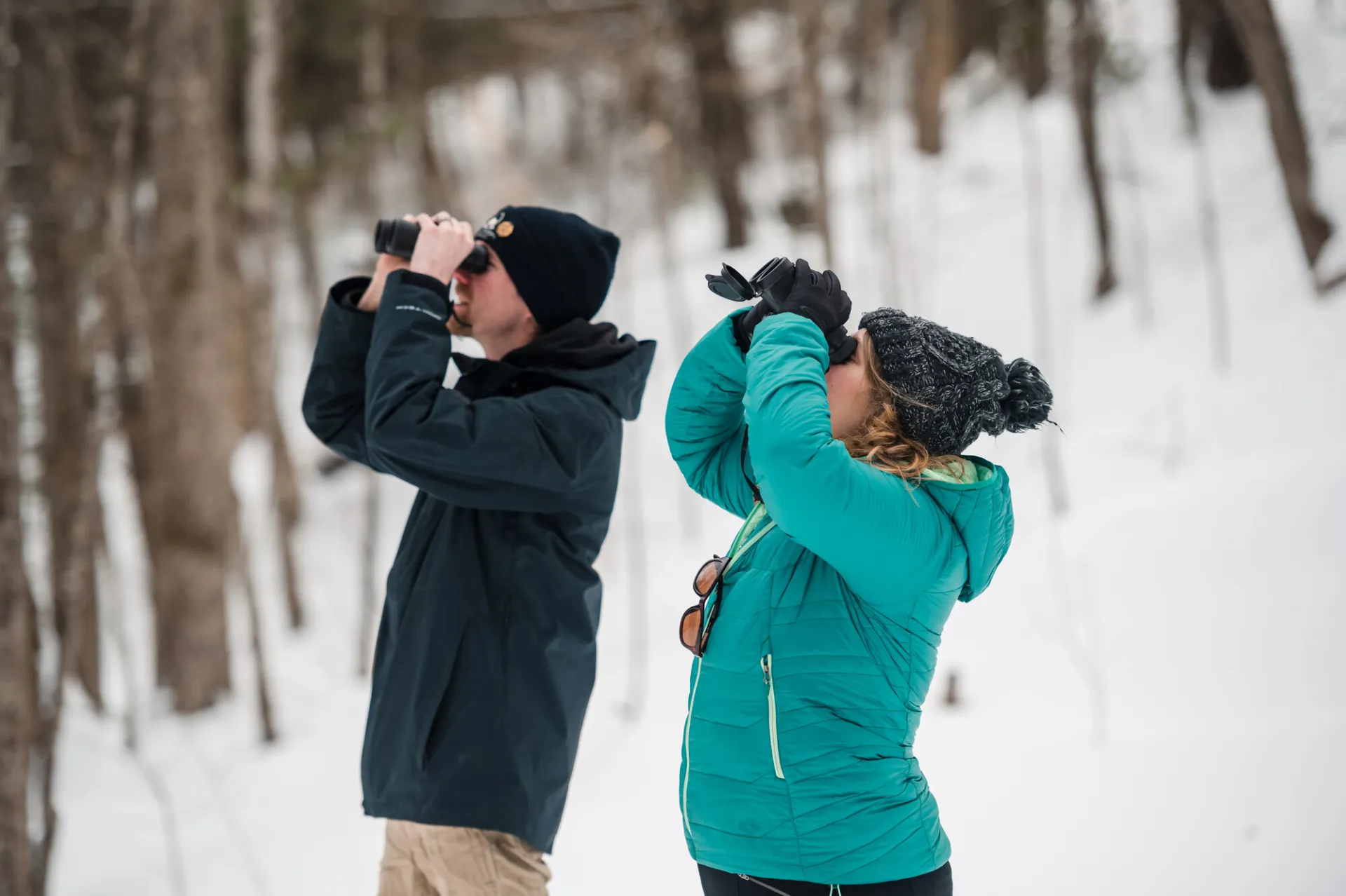 winter birding