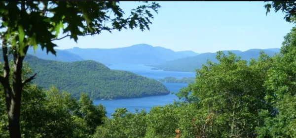 The view of a lake through trees