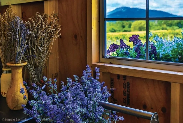 Mountain view through a window with cut lavender