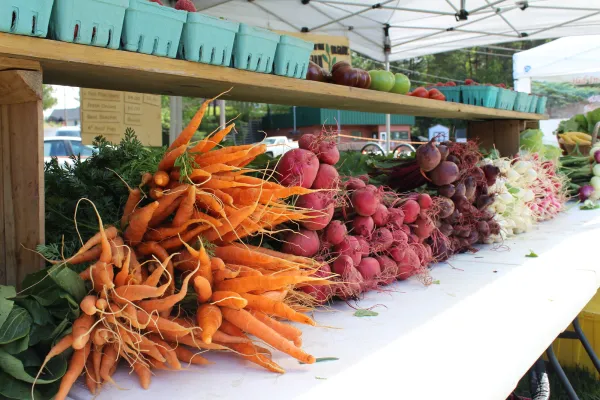Carrots, beats, radishes and veggies in small bins lined up on a table.