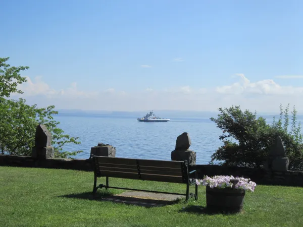 A park bench by the lake