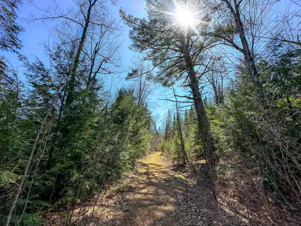 Benny's Trail