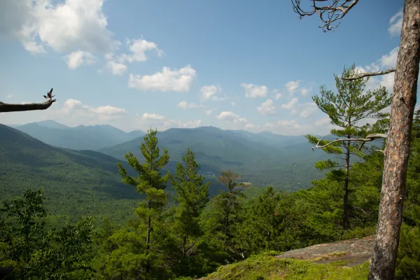 A view of tall, tree-covered mountains