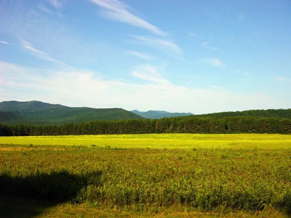 A field of hay with mountains in the background