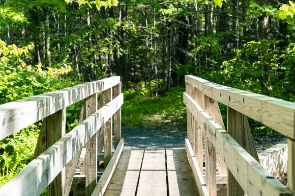 A new bridge on a hiking trail