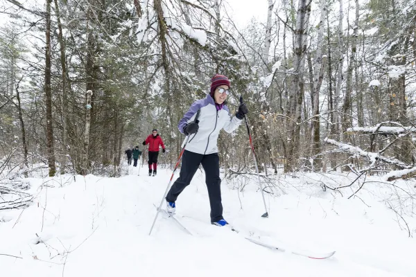 x-country skiers