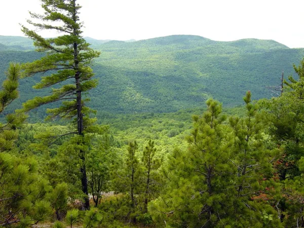 Wonderful views on a hike most of the family can enjoy.