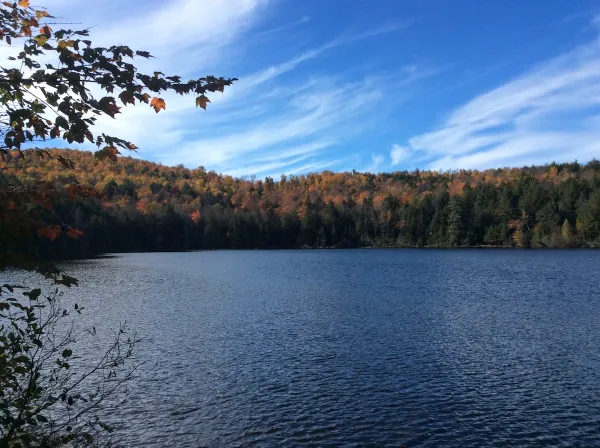 A pond with trees turning colors surrounding it