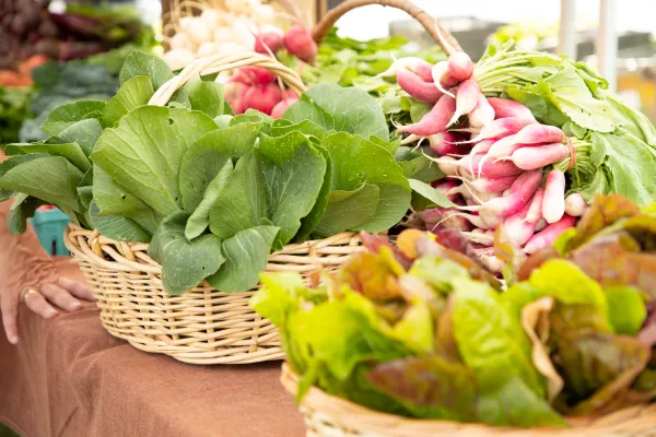 Leafy veggies and radishes in baskets.
