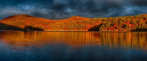 The trees are gorgeous in the fall.