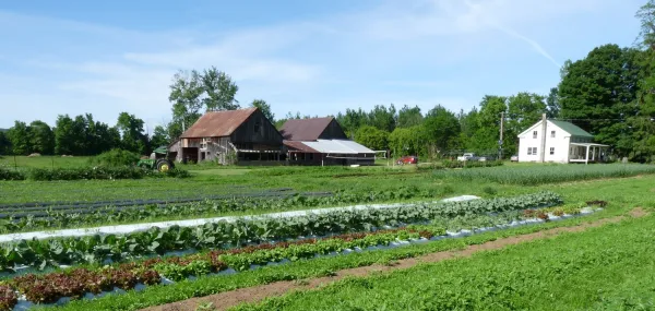 Harvest Hill farm