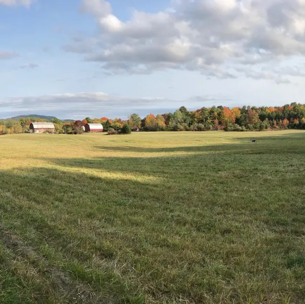 view of the farm
