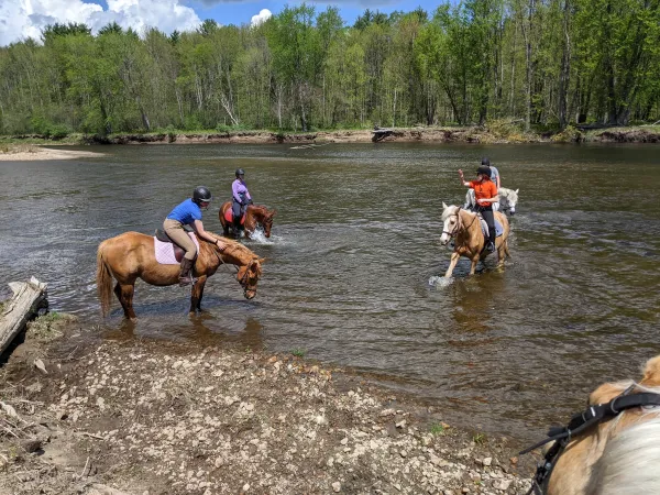 children riding horses in a river