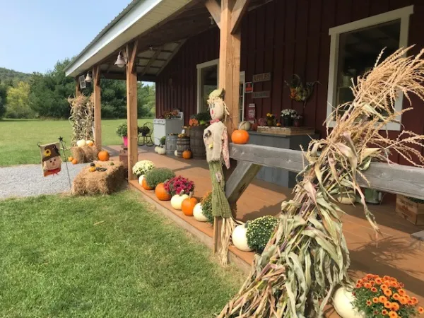 The covered porch decorated for fall, lined with decorative pumpkins, corn stalks, hay bales and scare crows.