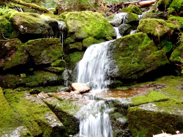 A small water cascade over rocks