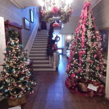 Festival of Trees