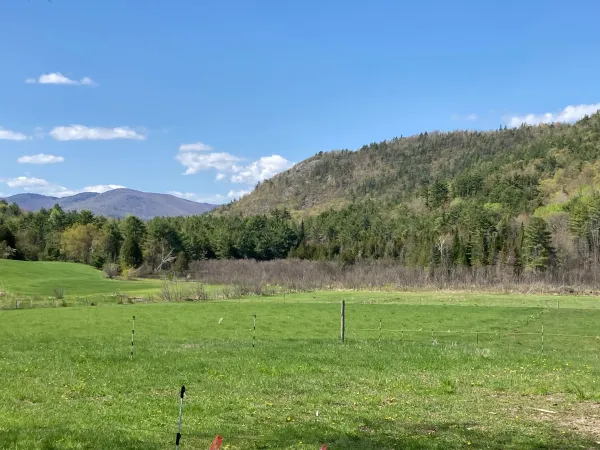 A wide open field surrounded by mountain trees in the spring. 