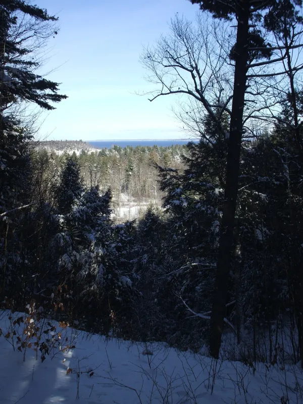 A variety of back country trails for skiing or snowhoeing.