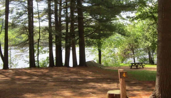 An open area for camping by the water