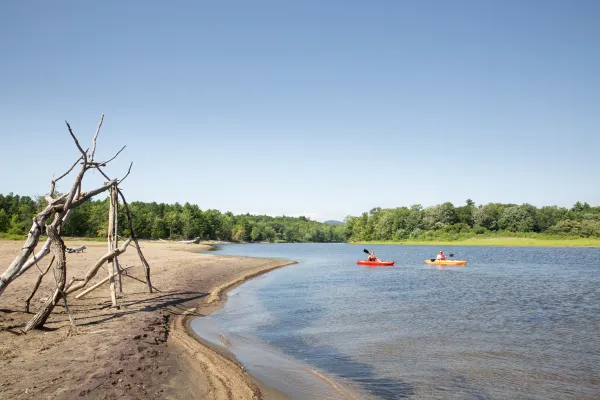 The beach has driftwood sculptures.