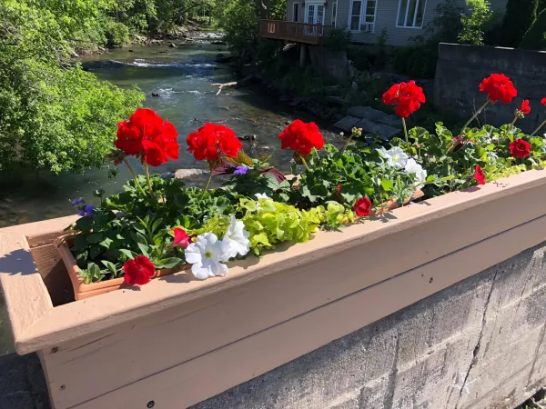 A planter box of petunias and geraniums over a river.