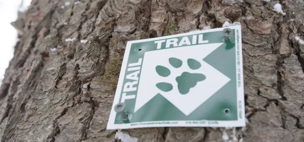 CATS marker