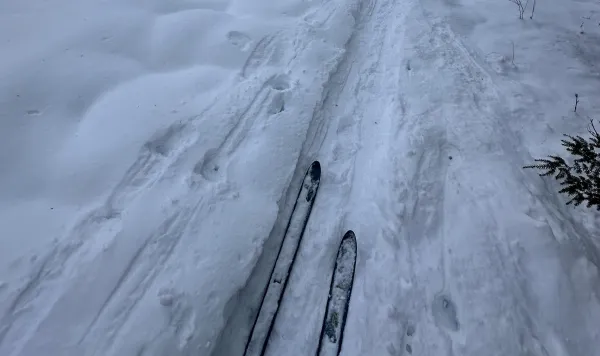 Skiing on Benny's Trail