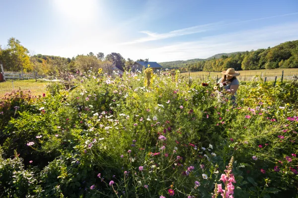 A farmer stands among the flowers under a bright blue sky.