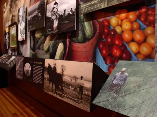 Images with description cards hung on walls.