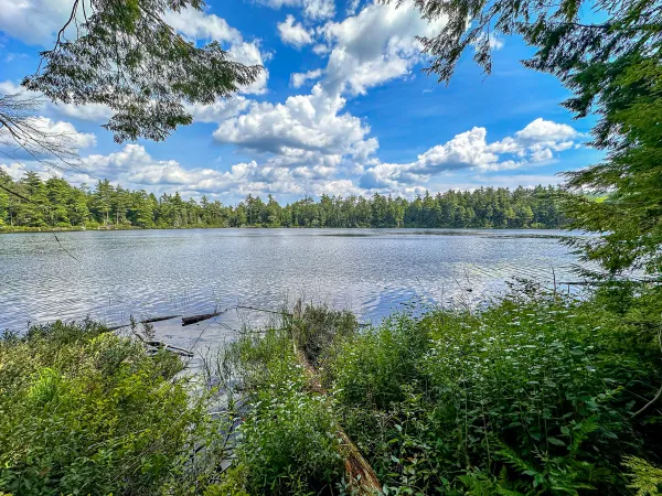 Clear Pond