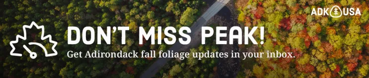 Don't miss peak fall foliage!