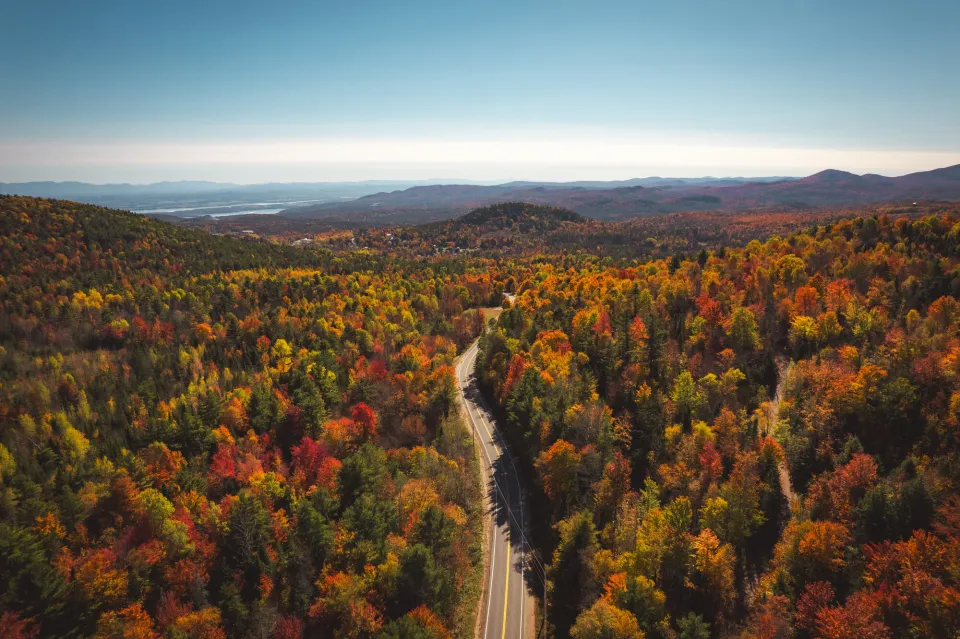 Fall in Westport.